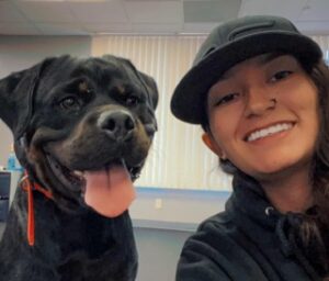 Lily — Off Leash K9 Training of San Francisco